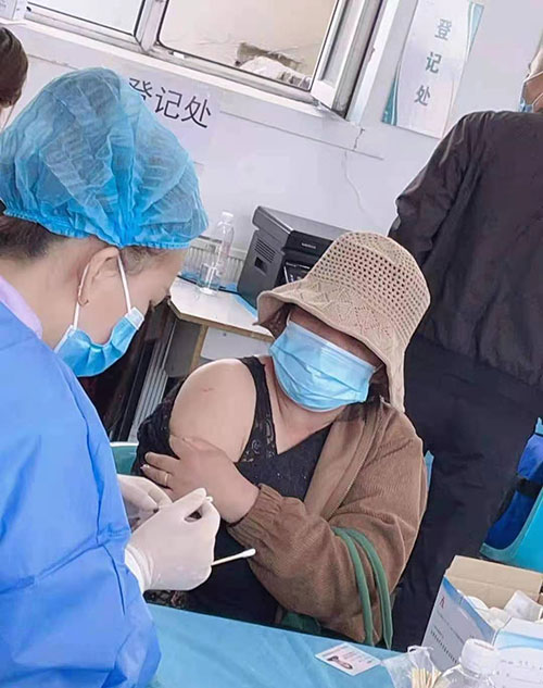 好博在线官网苗接种工作